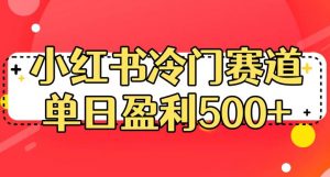 小红书冷门赛道,单日盈利500+【揭秘】-16888副业资讯