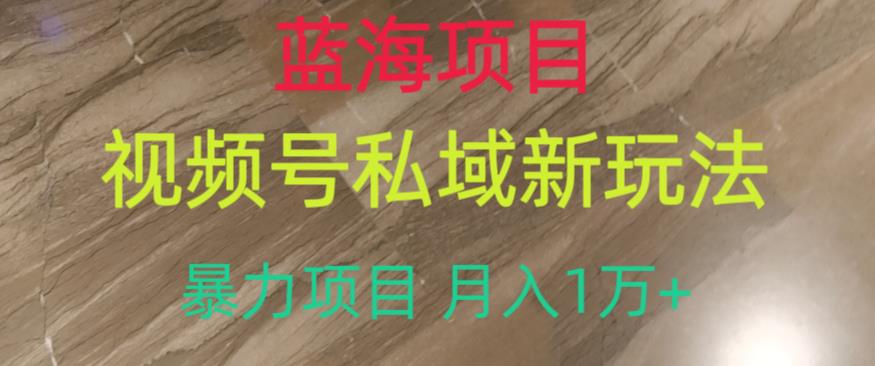 蓝海项目，视频号私域新玩法，暴力项目月入1万+【揭秘】-16888副业资讯
