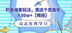 钓鱼独家玩法，靠这个思路年入50w+【揭秘】-16888副业资讯