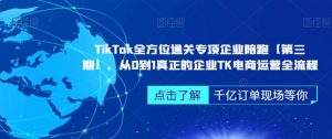 TikTok全方位通关专项企业陪跑【第三期】,从0到1真正的企业TK电商运营全流程-16888副业资讯