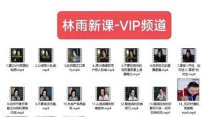 林雨新课VIP频道，玩赚私域/朋友圈/社群-16888副业资讯