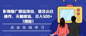 影视推广搬运项目，适合小白操作，无脑搬运，日入500+【揭秘】-16888副业资讯
