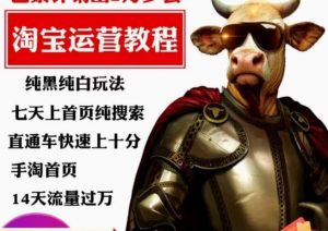 猫老师·淘系算法逆向解密,纯黑纯白玩法,七天上首页纯搜索,手淘首页14天流量过万-16888副业资讯