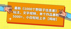 最新《1000个野路子信息差》玩法，文字视频，单个作品暴粉5000+，小白轻松上手【揭秘】-16888副业资讯