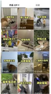 拆解抖音盘点类中视频变现副业项目，视频版一条龙大解析分享给你【视频课程】-16888副业资讯