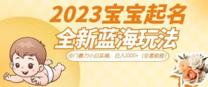抖音美女图文+音乐推广5.0版本,单日单号500+,0本0粉可矩阵,五分钟一个视频【揭秘】-16888副业资讯