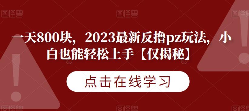一天800块，2023最新反撸pz玩法，小白也能轻松上手【仅揭秘】-16888副业资讯