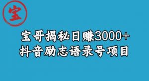宝哥揭秘日赚3000+抖音励志语录号短视频变现项目-16888副业资讯
