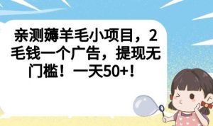 亲测薅羊毛小项目，2毛钱一个广告，提现无门槛！一天50+【揭秘】-16888副业资讯
