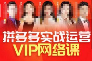 推易拼多多VIP全套直播课程,拼多多店铺实操玩法+实战玩法选款内功+直通车高阶等-16888副业资讯