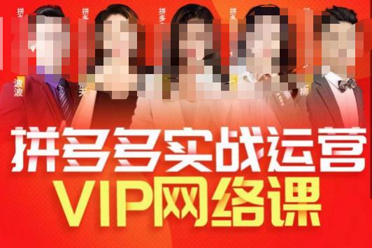 推易拼多多VIP全套直播课程，拼多多店铺实操玩法+实战玩法选款内功+直通车高阶等-16888副业资讯