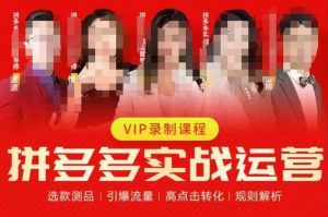 2023推易拼多多实战运营,选款测品、引爆流量、高点击转化、规则解析-16888副业资讯