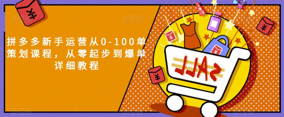 拼多多新手运营从0-100单策划课程，从零起步到爆单详细教程-16888副业资讯