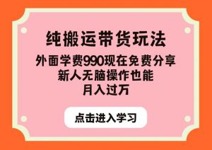 纯搬运带货玩法，外面学费990现在免费分享，新人无脑操作也能月入过万【揭秘】-16888副业资讯