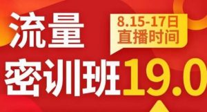 秋秋线上流量密训班19.0,打通流量关卡,线上也能实战流量破局-16888副业资讯
