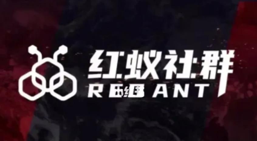 社群运营：红蚁社群【48节落地系统课程+2000人高端社群】-16888副业资讯