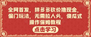 全网首发，拼多多砍价撸现金，偏门玩法，无需拉人头，傻瓜式操作保姆教程【揭秘】-16888副业资讯