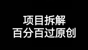 项目拆解赛道百分百过原创【揭秘】-16888副业资讯