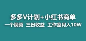 【蓝海项目】多多v计划+小红书商单一个视频三份收益工作室月入10w-16888副业资讯