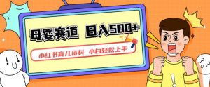 小红书育儿资料，一部手机可操作，多种变现方式，日入500+，私域变现，长期可持续项目【揭秘】-16888副业资讯