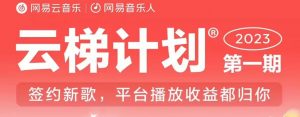 2023年8月份网易云最新独家挂机技术，真正实现挂机月入5000【揭秘】-16888副业资讯
