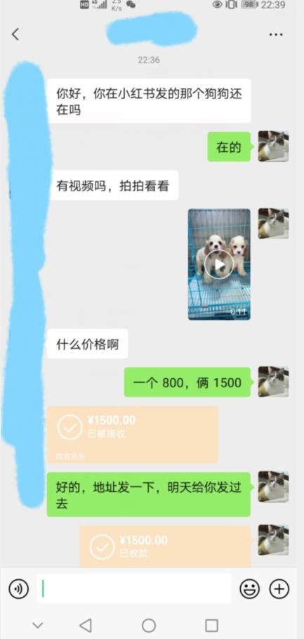 外边收费3980的同城萌宠项目，用最冷门的玩法冲击最热门的市场【揭秘】-16888副业资讯
