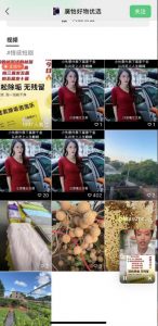 外面收费198的最新视频号连怼技术，条条原创，条条爆单【揭秘】-16888副业资讯