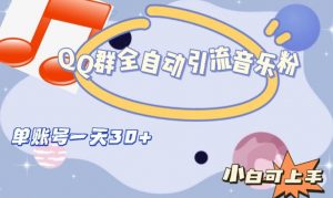 QQ群全自动引流音乐粉，单账号一天轻松引流30+-16888副业资讯