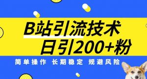 B站引流技术:每天引流200精准粉,简单操作,长期稳定,规避风险-16888副业资讯