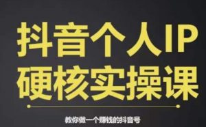 个人IP创富系统实战课，商业定位，流量打造，短视频变现，教你做个赚钱的抖音号-16888副业资讯