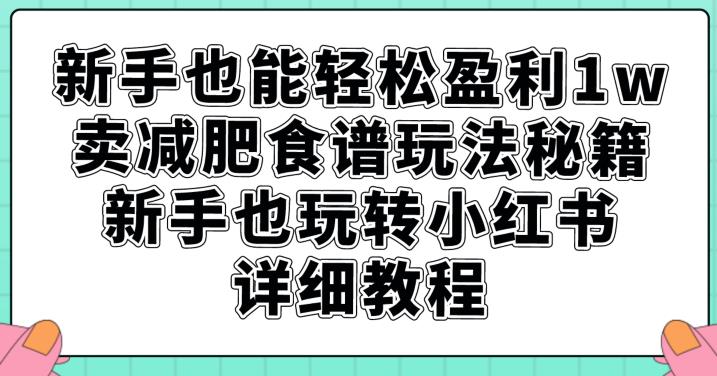 新手也能轻松盈利1w，卖减肥食谱玩法秘籍，新手也玩转小红书详细教程【揭秘】-16888副业资讯