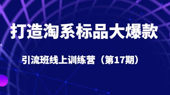 打造淘系标品大爆款引流班线上训练营（第17期）5天直播授课-16888副业资讯