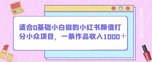 适合0基础小白做的小红书颜值打分小众项目，一条作品收入1000＋【揭秘】-16888副业资讯