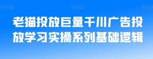 老猫投放巨量千川广告投放学习实操系列基础逻辑-16888副业资讯