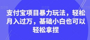 支付宝项目暴力玩法，轻松月入过万，基础小白也可以轻松拿捏【揭秘】-16888副业资讯