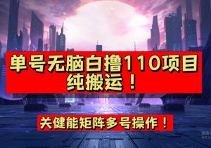 9月全网首发，单号直接白撸110！可多号操作，无脑搬运复制粘贴【揭秘】-16888副业资讯