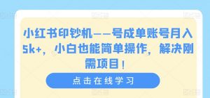 小红书印钞机——号成单账号月入5k+,小白也能简单操作,解决刚需项目【揭秘】-16888副业资讯