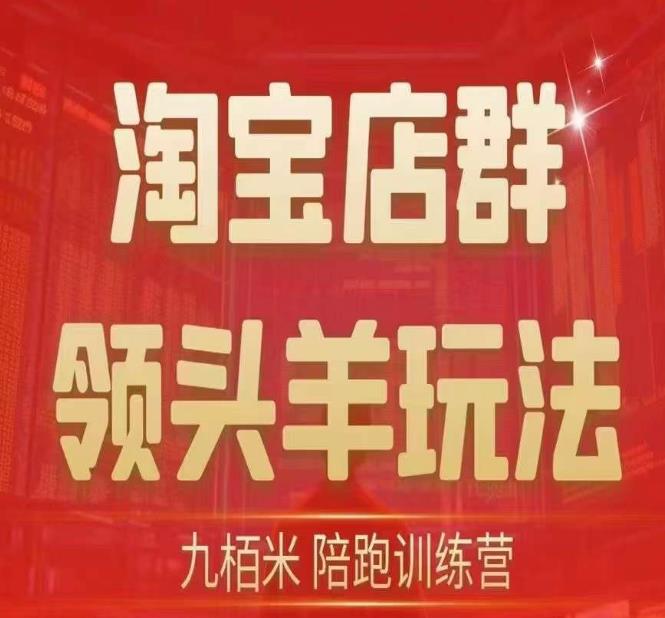 九栢米-淘宝店群领头羊玩法，教你整个淘宝店群领头羊玩法以及精细化/终极蓝海/尾销等内容-16888副业资讯