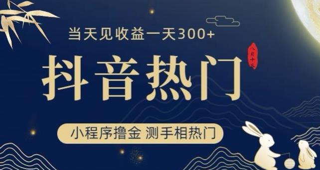 抖音最新小程序撸金，测手相上热门，当天见收益一小时变现300+【揭秘】-16888副业资讯