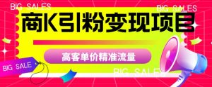 商K引粉变现项目，高客单价精准流量【揭秘】-16888副业资讯