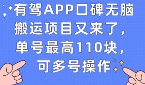 有驾APP口碑无脑搬运项目又来了，单号最高110块，可多号操作-16888副业资讯
