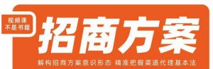 王昕招商方案,解构招商方案意识形态,精准把握渠道代理基本法-16888副业资讯