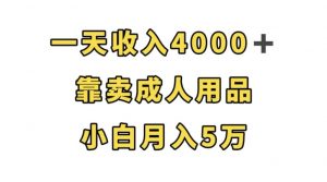 一天收入4000+,靠卖成人用品,小白轻松月入5万【揭秘】-16888副业资讯