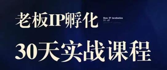 诸葛·2023老板IP实战课，实体同城引流获客，IP孵化必听-16888副业资讯