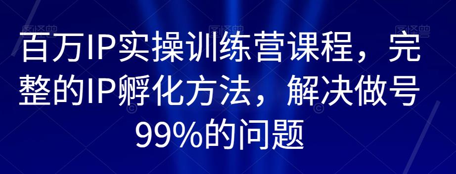百万IP实操训练营课程，完整的IP孵化方法，解决做号99%的问题-16888副业资讯