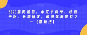 2023蓝海项目，小红书商单，快速千粉，长期稳定，最强蓝海没有之一（新玩法）-16888副业资讯