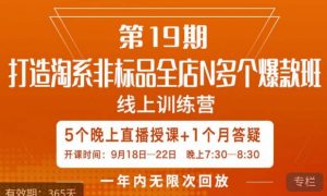 打造淘系非标全店N多个爆款线上课,5天直播课-16888副业资讯