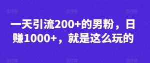 一天引流200+的男粉,日赚1000+,就是这么玩的【揭秘】-16888副业资讯