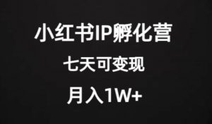 价值2000+的小红书IP孵化营项目,超级大蓝海,七天即可开始变现,稳定月入1W+-16888副业资讯