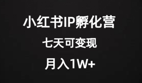 价值2000+的小红书IP孵化营项目，超级大蓝海，七天即可开始变现，稳定月入1W+-16888副业资讯